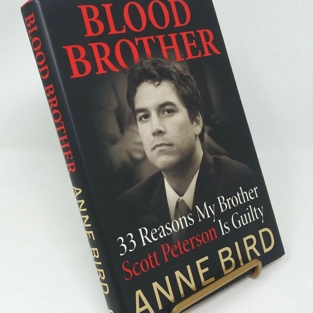 Blood Brother 33 Reasons Why: By Anne Bird